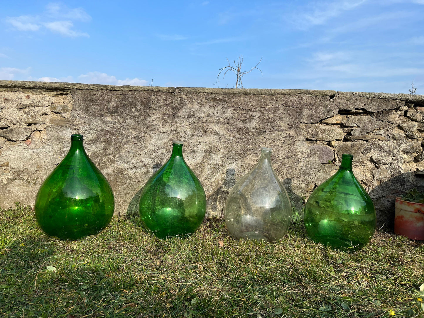 DEMIJOY / terrarium KIT included