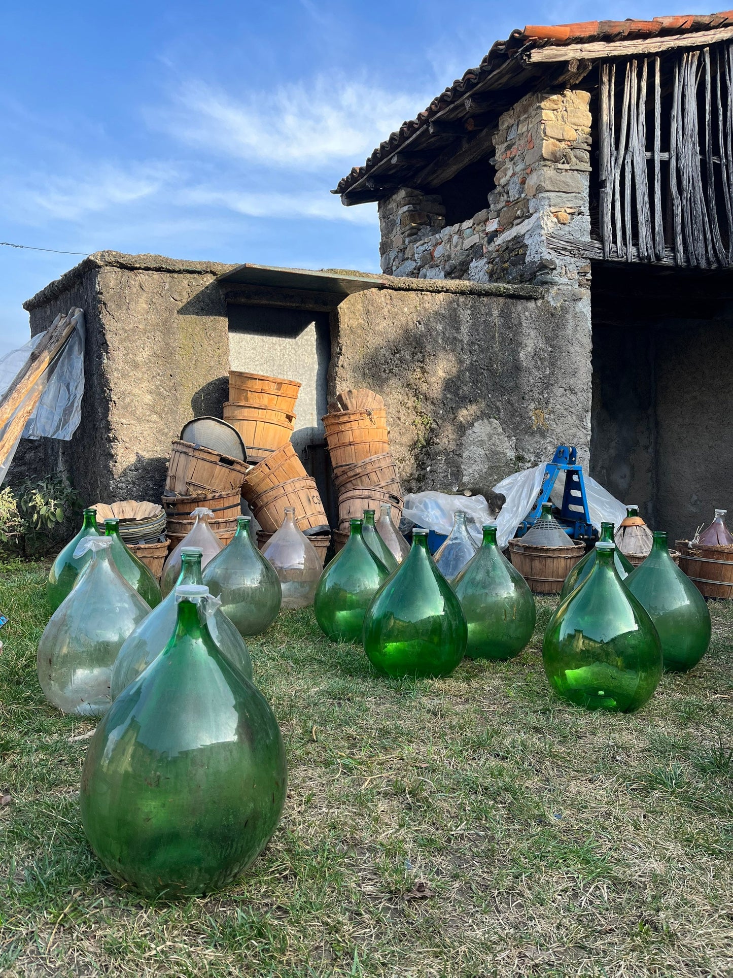 DEMIJOY / terrarium KIT included