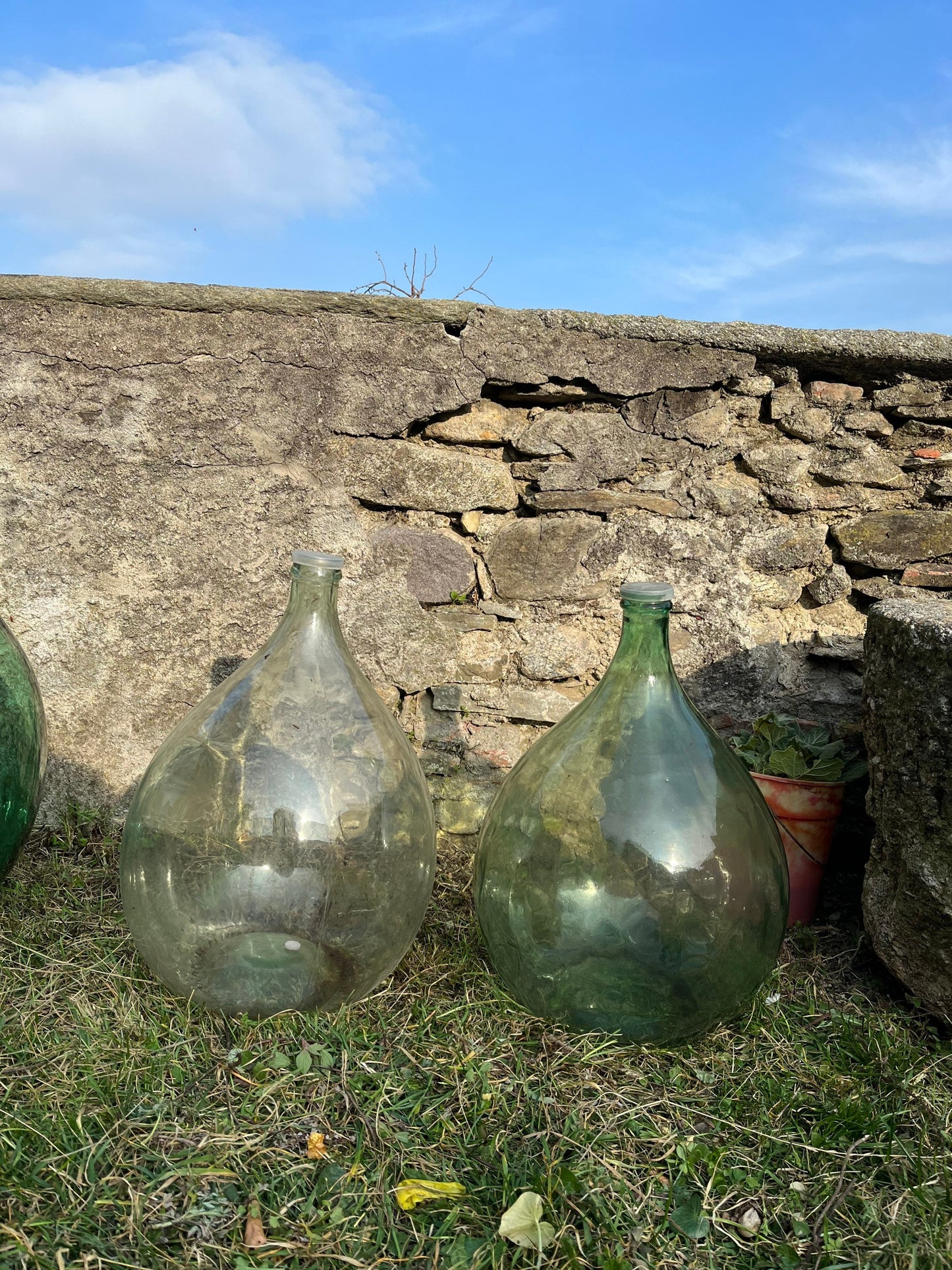 DEMIJOY / terrarium KIT included