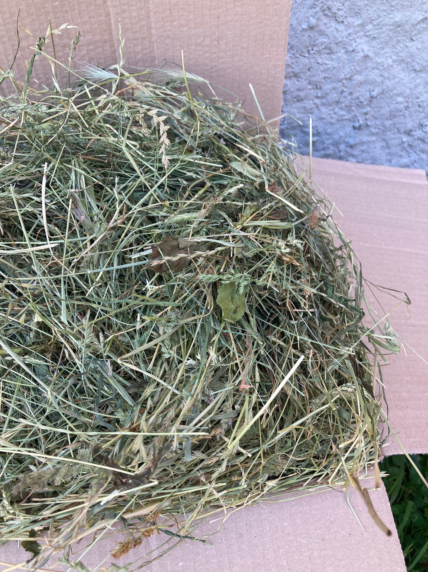 BOX - HAY (2KG) FOR RABBITS