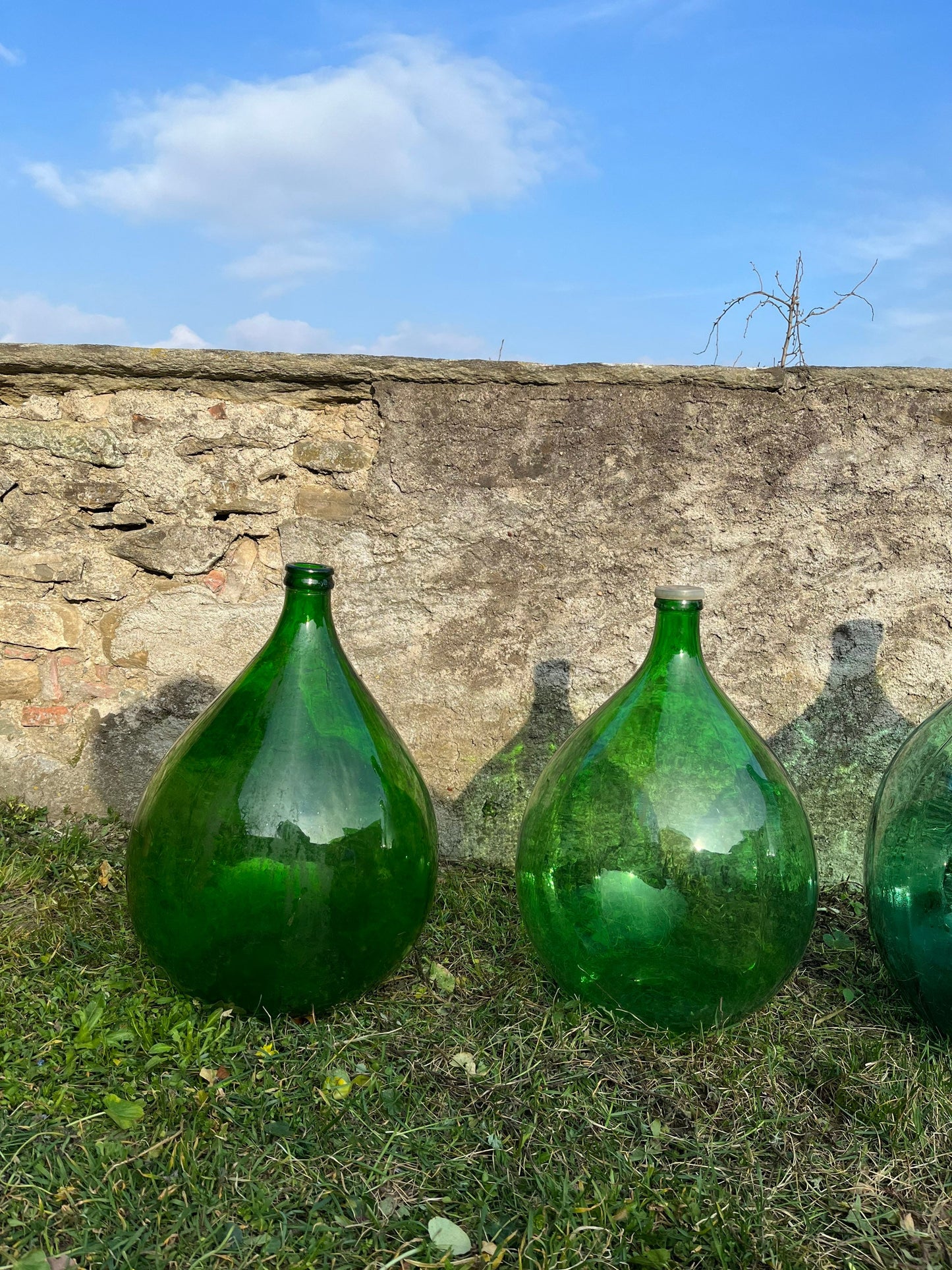 DEMIJOY / terrarium KIT included