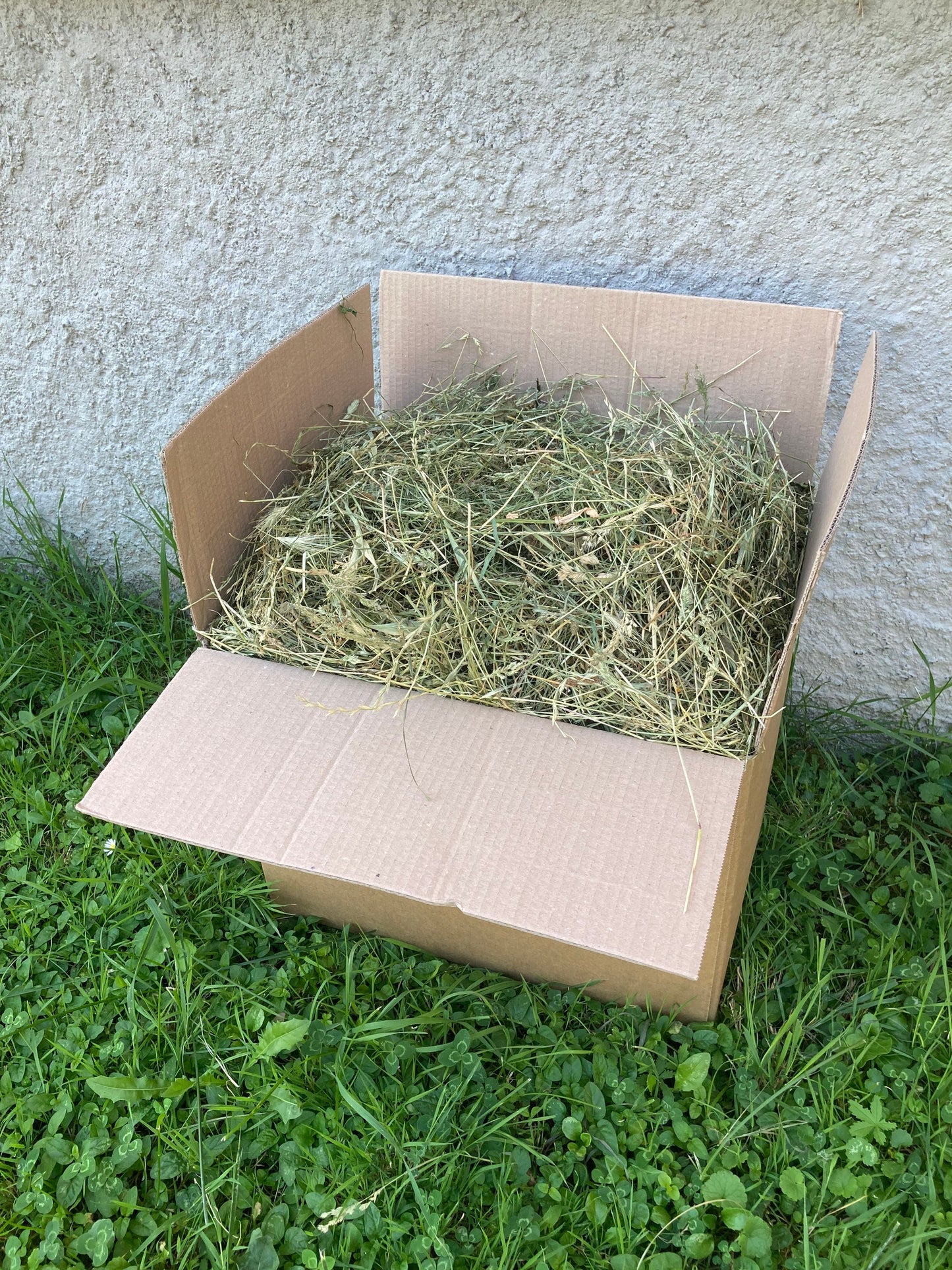 BOX - HAY (2KG) FOR RABBITS