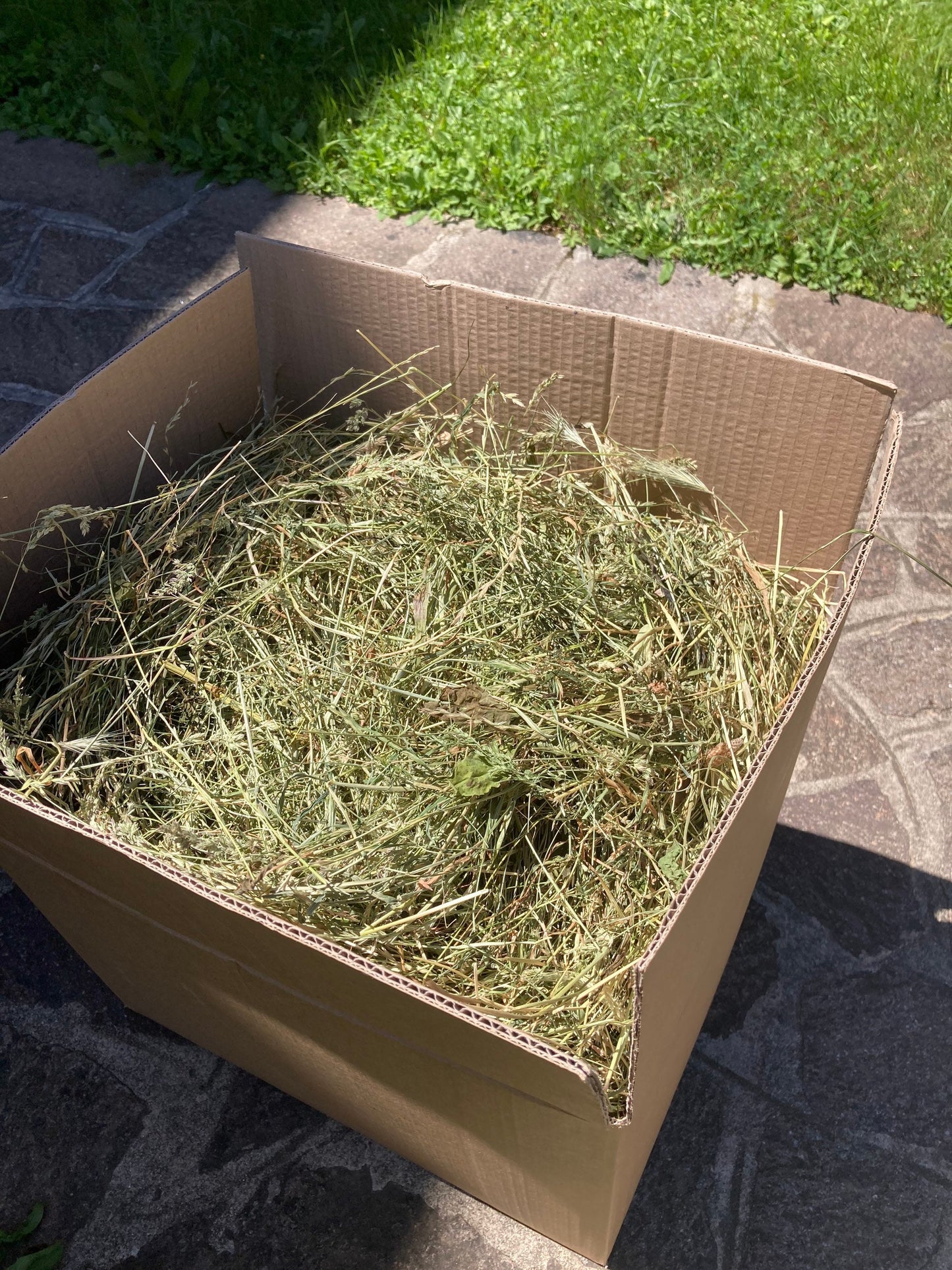 BOX - HAY (2KG) FOR RABBITS