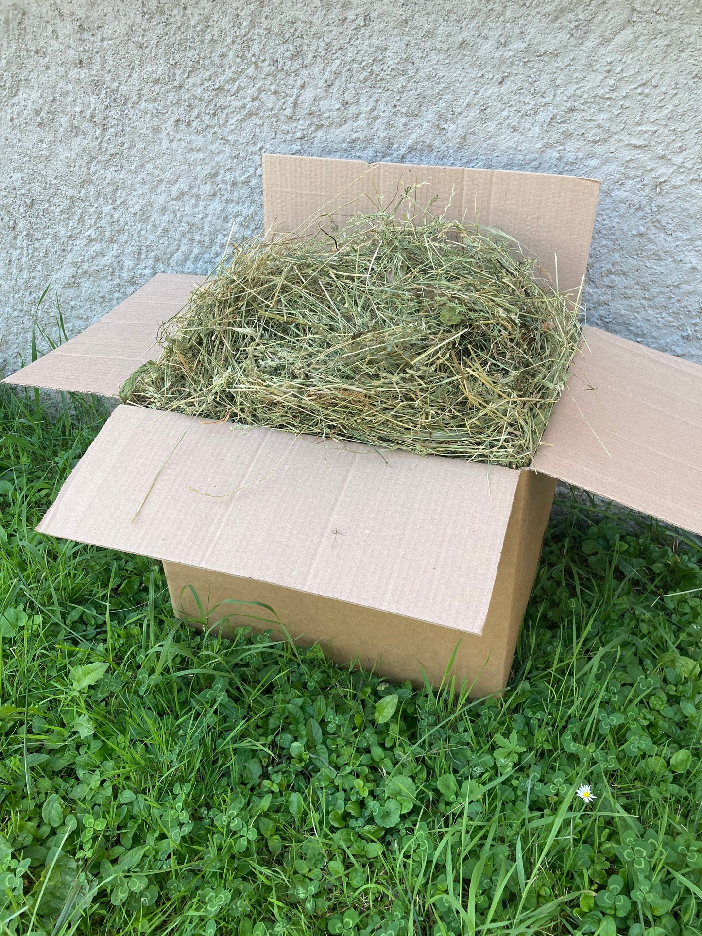 BOX - HAY (2KG) FOR RABBITS